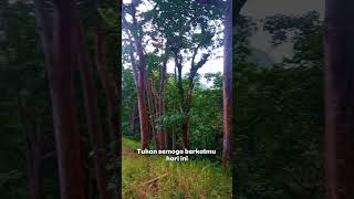 #lagurohani #katolik #kristen #doakatolik #doakristen #doapagi #doa