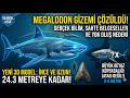 Megalodon Hâlâ Yaşıyor Mu? Sahte Belgeseller ve Gerçek Bilim.