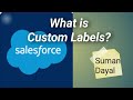 What is Custom Labels - 01