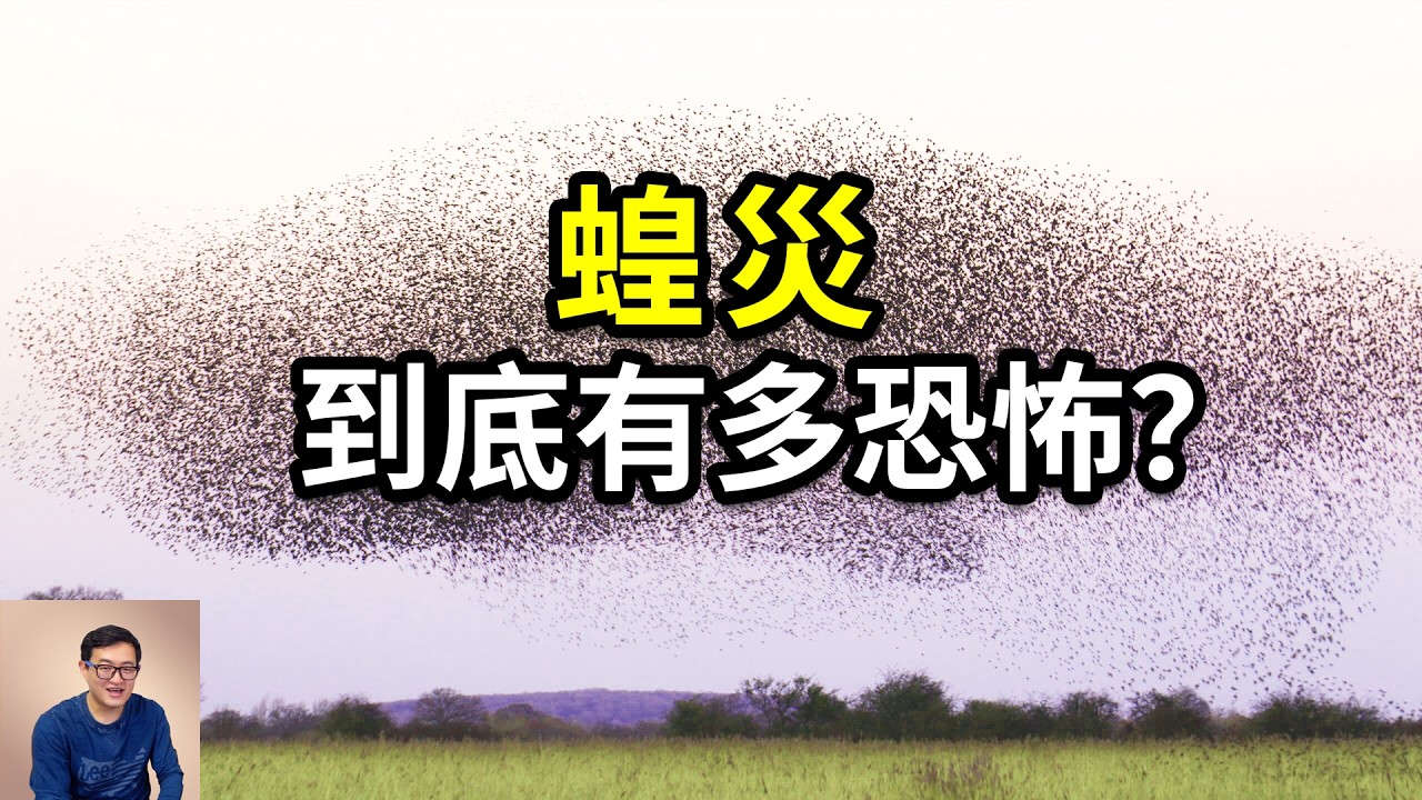 昆蟲界的「皇帝」，天災級別的存在！蝗蟲爆發蝗災到底有多瘋狂？有史以來最長的一期！不是所有的蚱蜢都叫蝗蟲……【老肉雜談】#動物 #昆蟲 #蝗蟲 #蚱蜢 #知識
