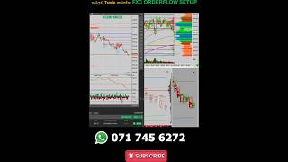 GOLD Live Trade 200 pips 🧿😎🎧 | FXC Trader #youtubeshorts