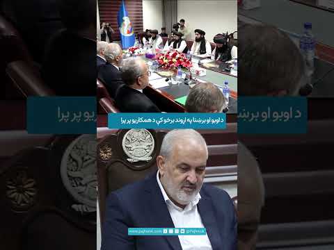 افغان او ایراني چارواکي د افغانستان د اوبو او برېښنا برخو کې د پانګونې پر امکاناتو غږېدلي