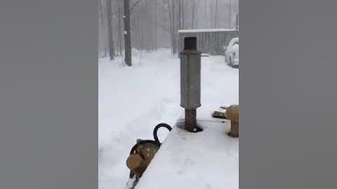 2020 Maple Syrup First Boil