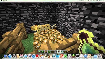 Minecraft 1.2 Pre Release Tutorial