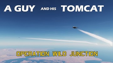 A Guy and His Tomcat Operation Wild Junction