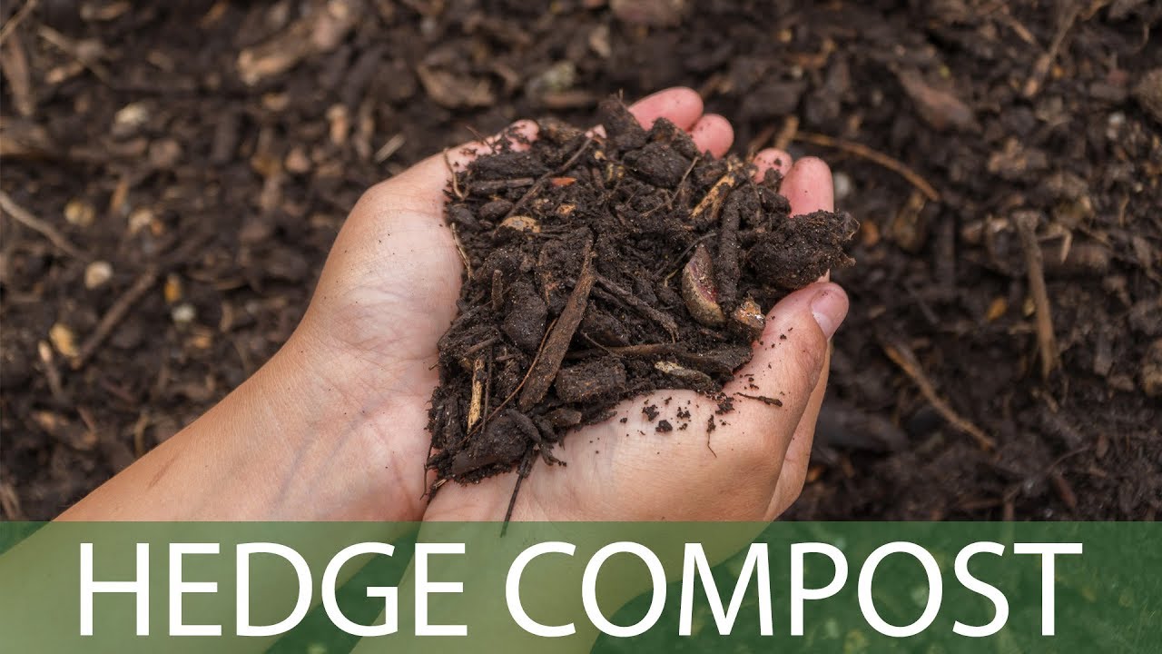 Making our Soil Improver Hedge Compost - YouTube