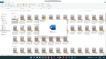 HOW TO DOWNLOAD AND OPEN DEPED PNPKI CERTIFICATE THRU MS WORD