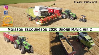 Moisson escourgeon 2020 Claas lexion 650 [DRONE DJI MAVIC AIR 2]