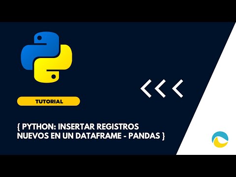 Insertar registros no duplicados en un Dataframe - Pandas