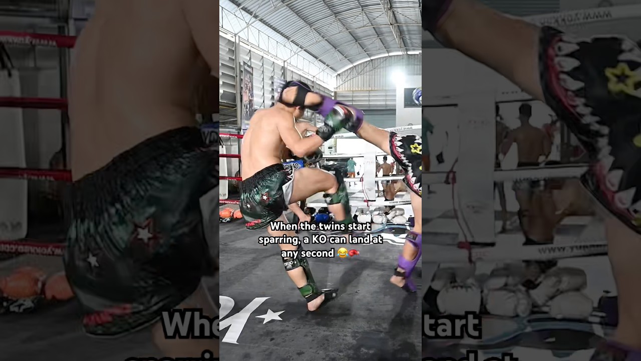 When the twins start sparring, a KO can land at any second 😂🥊 
