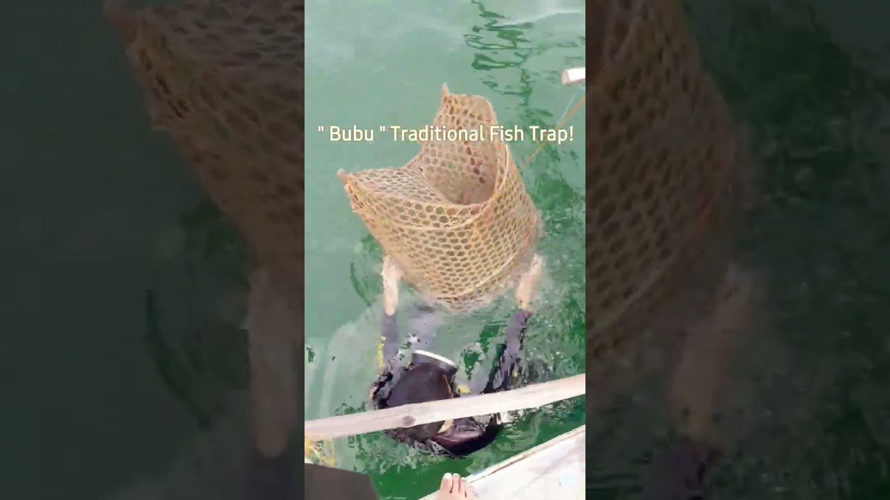 Bubu  Traditional Fish Trap!! 