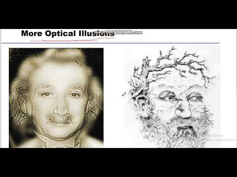 Image processing - 4, Brightness Discrimination