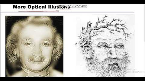 Image processing - 4, Brightness Discrimination