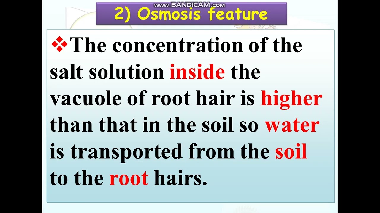 unit 4 part 2