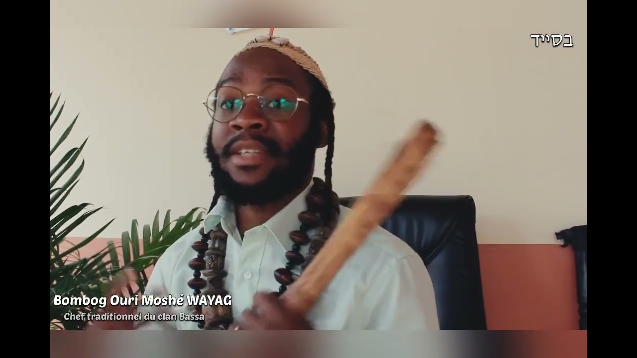 LE POUVOIR INCROYABLE DES CAURIS