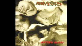 Spermbirds - Got Your Number