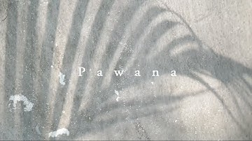 KUTAPAKI - Pawana "Official Music Video"