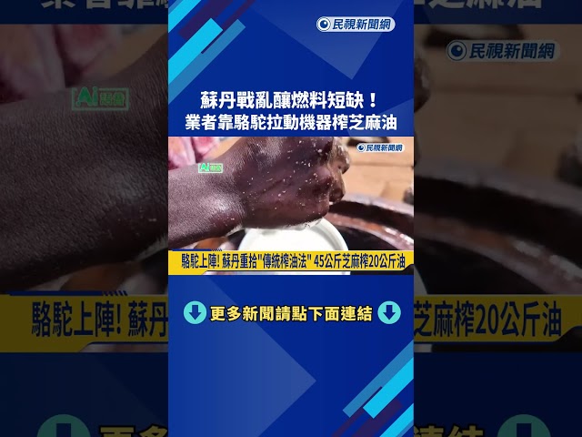 蘇丹戰亂釀燃料短缺！ 業者靠「駱駝拉動機器」榨芝麻油－民視新聞