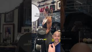 How the bicep ACTUALLY works...