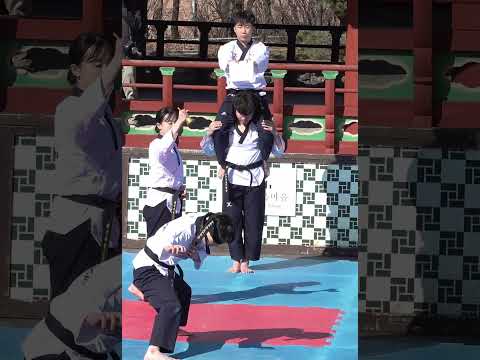눈가리고   감각격파 - 비나리 <strong>태권도시범단</strong> - 태권도 영원한 유산  #태권도