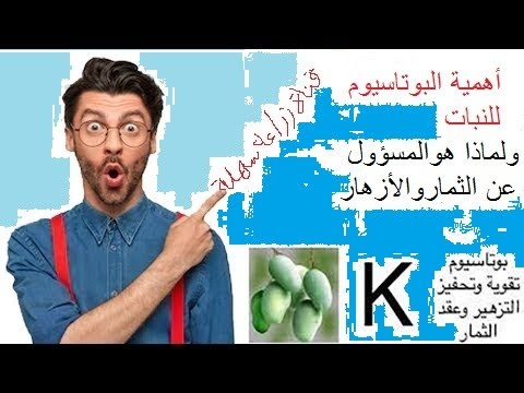 فيديو: الآثار المفيدة للنباتات. الجزء الرابع