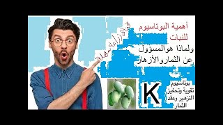 البوتاسيوم .. أهميته للنبات ومسئوليته عن عقد الثمار وتكوين الجذور ( الجزء الرابع )