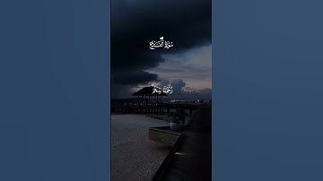 تلاوه خاشعه من سوره الفتح للشيخ سعد الغامدي //محمد رسول الله