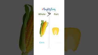 Whole Foods and Their Parts in English 🍎 | Easy Food Vocabulary Lesson