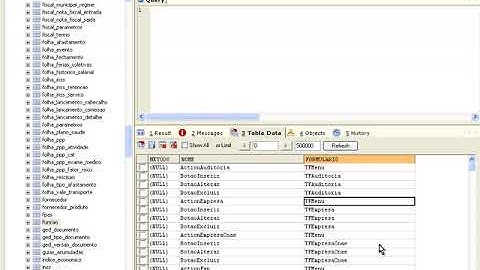 T2Ti ERP 2 0   Delphi   Infra   18 Cliente   FBase