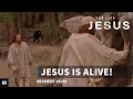 Jesus Is Alive The Life Of Jesus 45