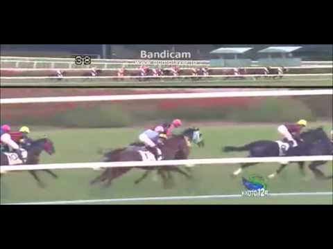 【競馬】ルメール落馬　右脛骨の骨折　京都12Ｒファーガソン　息が出来ない瞬間　第23話