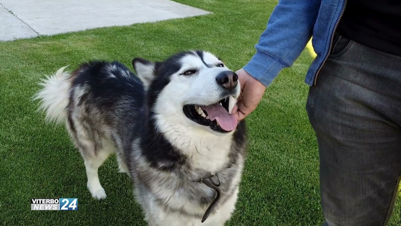 BREAKING NEWS di lunedì 9 MARZO