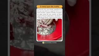 O mercúrio não é absorvido por tecidos #curiosidades