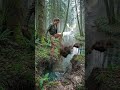 Among the Whispering Trees#ShortFilm #Cinematic #Storytelling