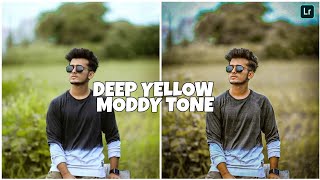Deep Yellow Moddy Tone | Lightroom Photo Editing | Lightroom Presets DNG Free Download | screenshot 5