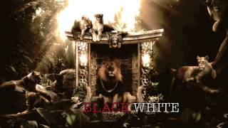 Black And White Remix To Black And Yellow  Sir ViShUs