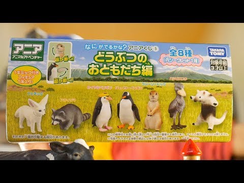 中西のティータイム』〜アニアくじ③ “どうぶつのおともだち編