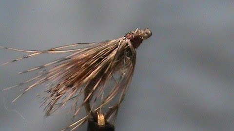 Beginner Fly Tying a Deer Creek Soft Hackle with Jim Misiura