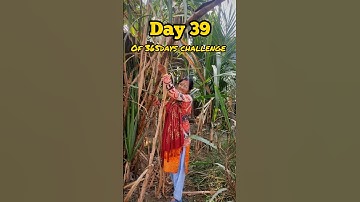 BRAHMA MUHURTA CHALLENGE 🕉️ 39/365#shorts #ytshorts #minivlog #youtubeshorts