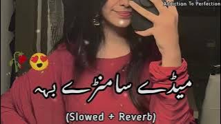 Medy Samny Bah, Meda Dil Pya Thienday (Slow   Reverb) | Ahmed Nawaz Cheena Song 