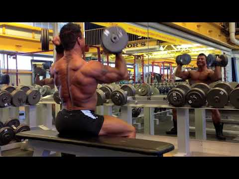 4 days out - Seated Arnold Press