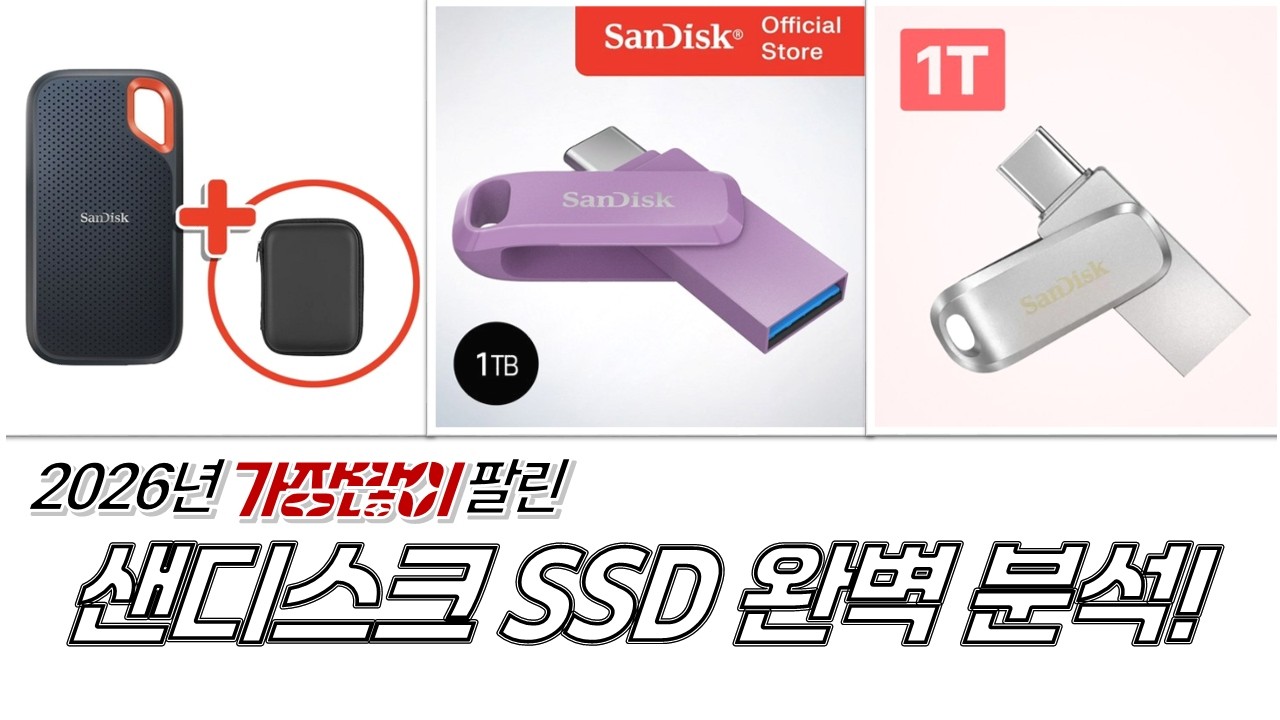 샌디스크 외장 SSD 총정리! 휴대성 갑 E30, 고성능 E61, OTG USB까지!