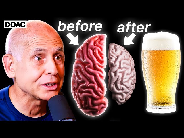 Before And After Alcohol Brain How Alcohol Consumption Can Affect The