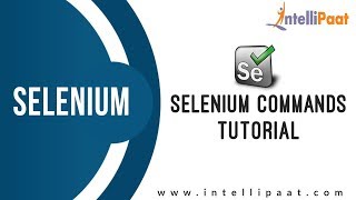 Selenium Commands Tutorial | Selenium Training | Selenium Tutorial | Intellipaat