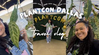 видео: Видеоблог PlantCon Dallas, часть 1 | Конференция по комнатным растениям, покупка растений картинка: Видеоблог PlantCon Dallas, часть 1 | Конференция по комнатным растениям, покупка растений