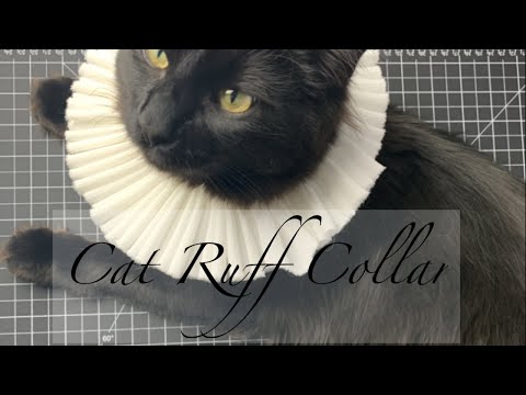 Making an Elizabethan Ruff Collar for my Cat (Tutorial)