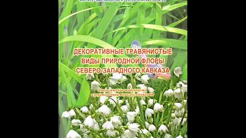 сохранение исчезающих видов растений in vitro.wmv