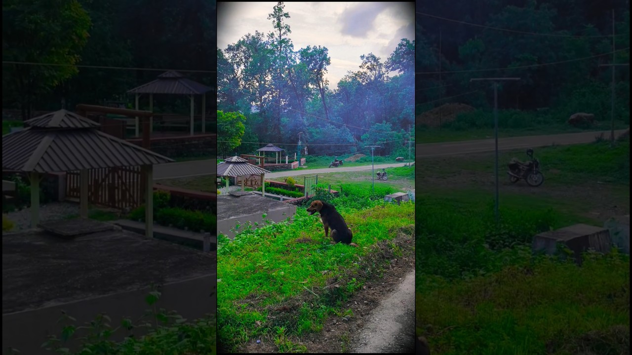 Travel Reel 107/180 Days Challenge 