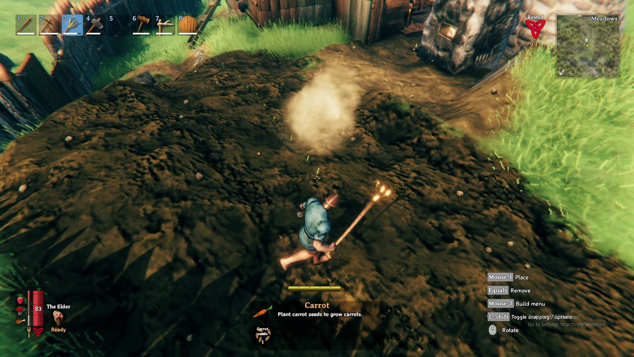 Carrot seeds valheim