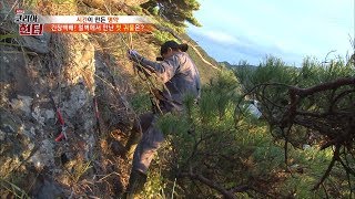 장비를 착용하고 캐낸 것은 하수오! [뉴 코리아 헌터] 73회 20171023